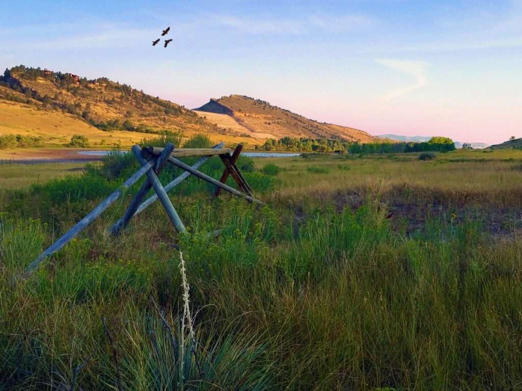 Hunting wild game in Western Colorado